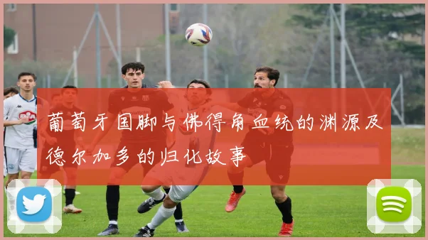 葡萄牙国脚与佛得角血统的渊源及德尔加多的归化故事