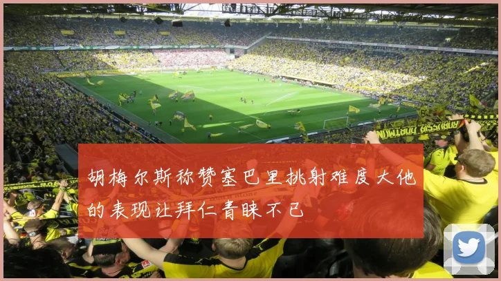 胡梅尔斯称赞塞巴里挑射难度大他的表现让拜仁青睐不已