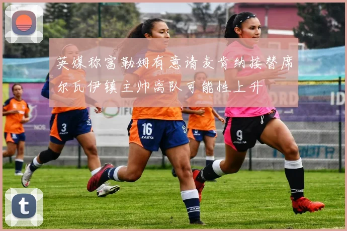 英媒称富勒姆有意请麦肯纳接替席尔瓦伊镇主帅离队可能性上升