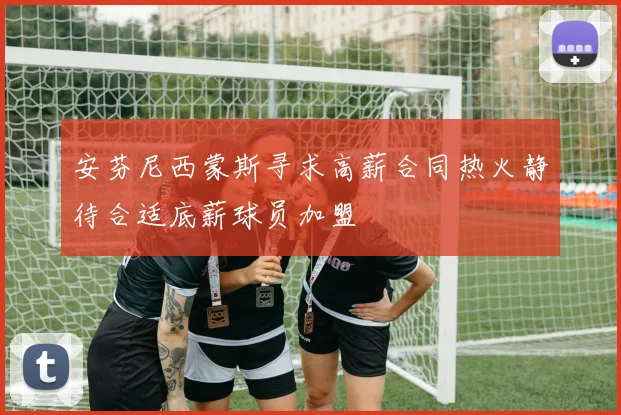 安芬尼西蒙斯寻求高薪合同热火静待合适底薪球员加盟
